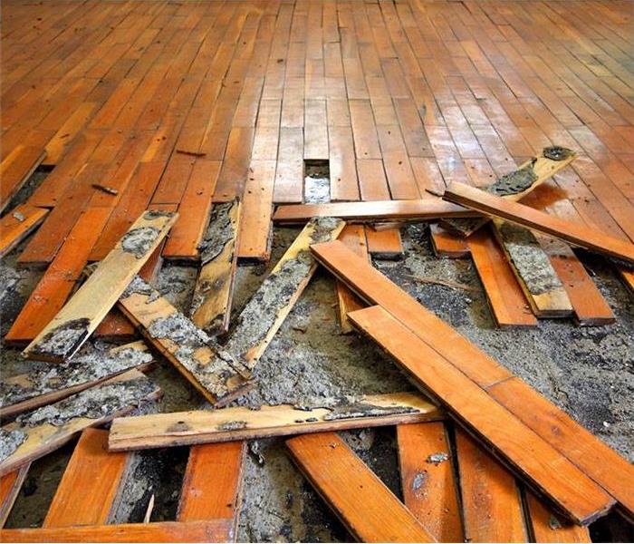 Damaged Wood Flooring